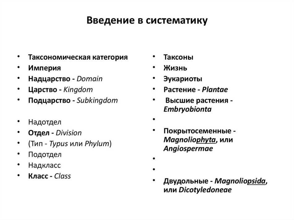 Что такое таксономические группы?