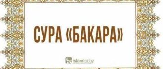 Таурат в исламе: история, особенности и значение