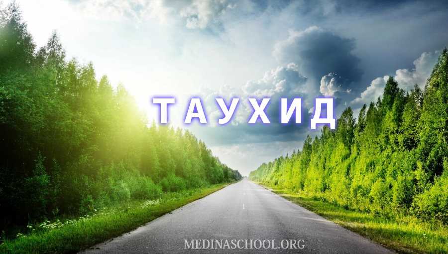 Таухид в исламе: основные принципы и виды таухида