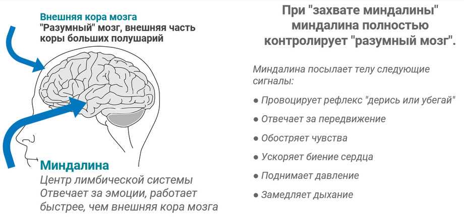 Что такое тильт в жизни человека