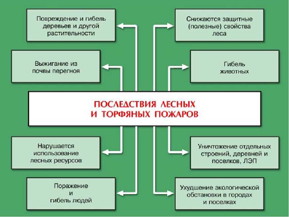 Причины возникновения торфяных пожаров