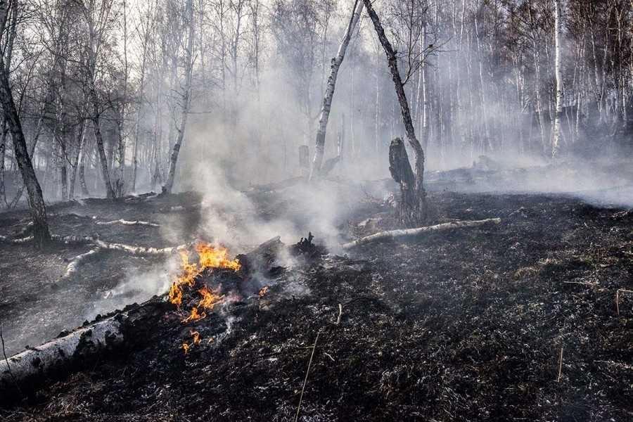 Особенности и характеристики торфяных пожаров