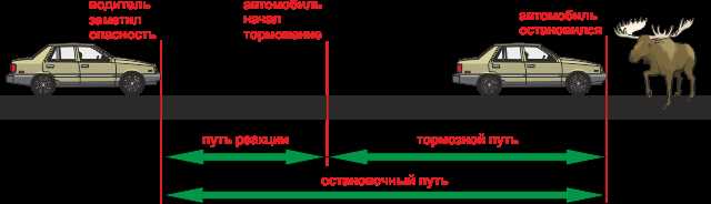 Определение тормозного пути автомобиля