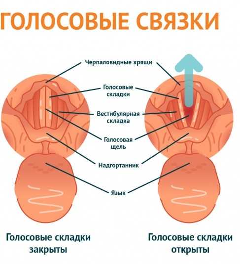 Определение тремоло в голосе