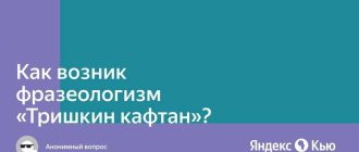 Тришкин кафтан: значение и использование в фразеологии