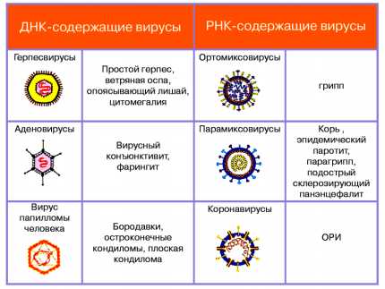 4. Сезонные факторы