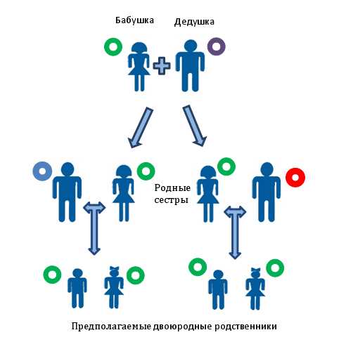 Обязанности и права троюродных братьев и сестер