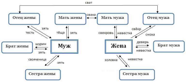 Основные свойства троюродных братьев и сестер: