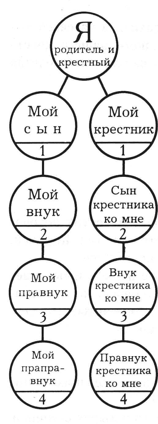 Что такое троюродные братья и сестры