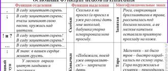 Что такое знаки пунктуации: полное понимание и правила использования