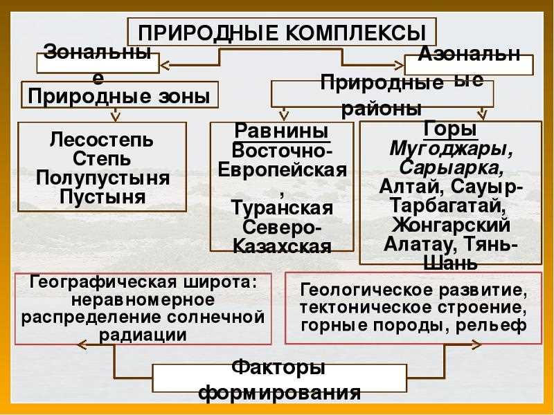 Основные черты зональных природных комплексов