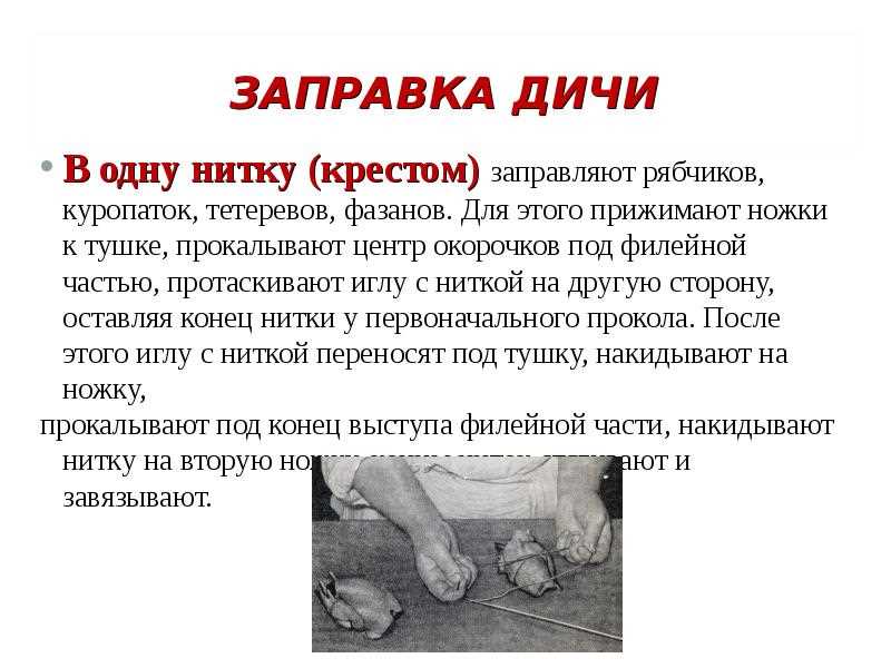 2. Сезонные изменения и недостаток пищи