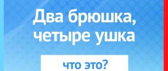 Тайна двух брюшек и четырех ушек: что это такое?