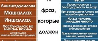 Джахиль в исламе: понятие и характеристики