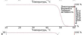 Ферменты: особенности и условия деятельности