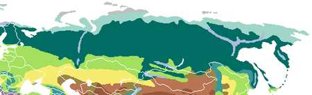 Где расположена зона пустынь в России