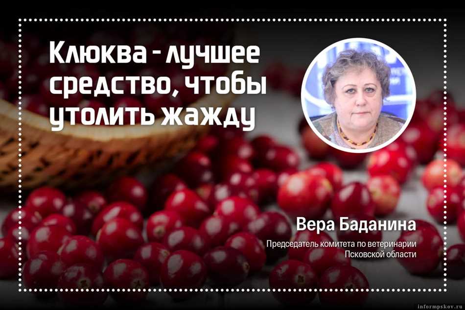  Происхождение любимого напитка бабушки Олеси