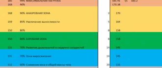 Нормальный пульс при беге у мужчин: что считается оптимальным