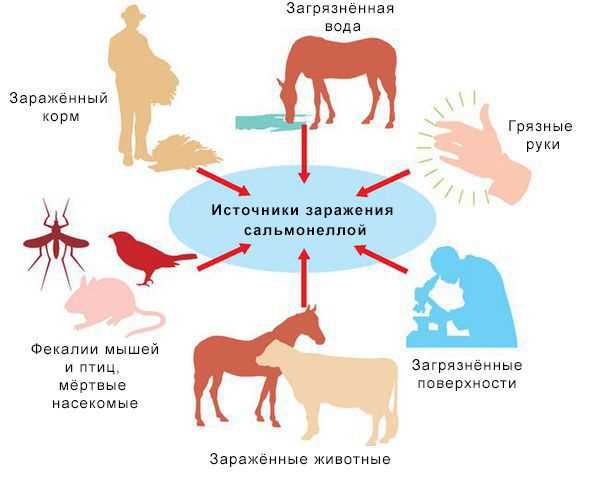 Общественные места