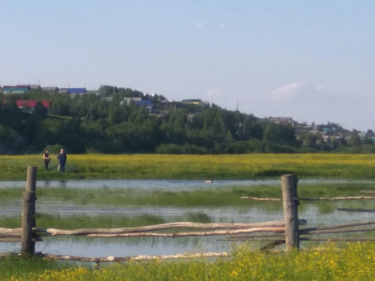 Почему поселок. Село Пойменное. Мутный поселок. Село Комишенко.