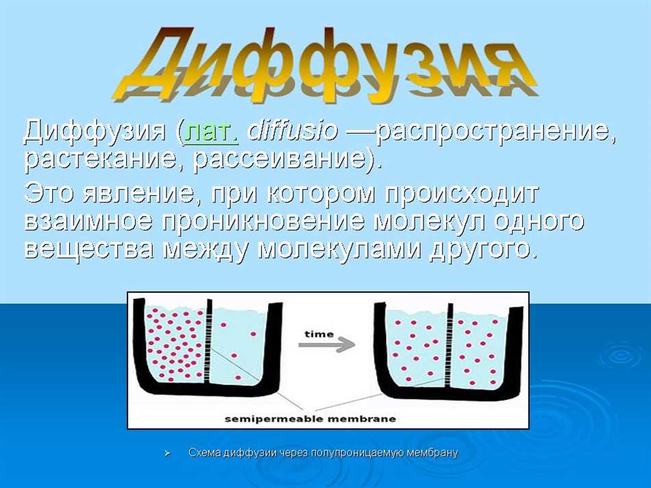 Явление диффузии в газах, жидкостях и твердых телах