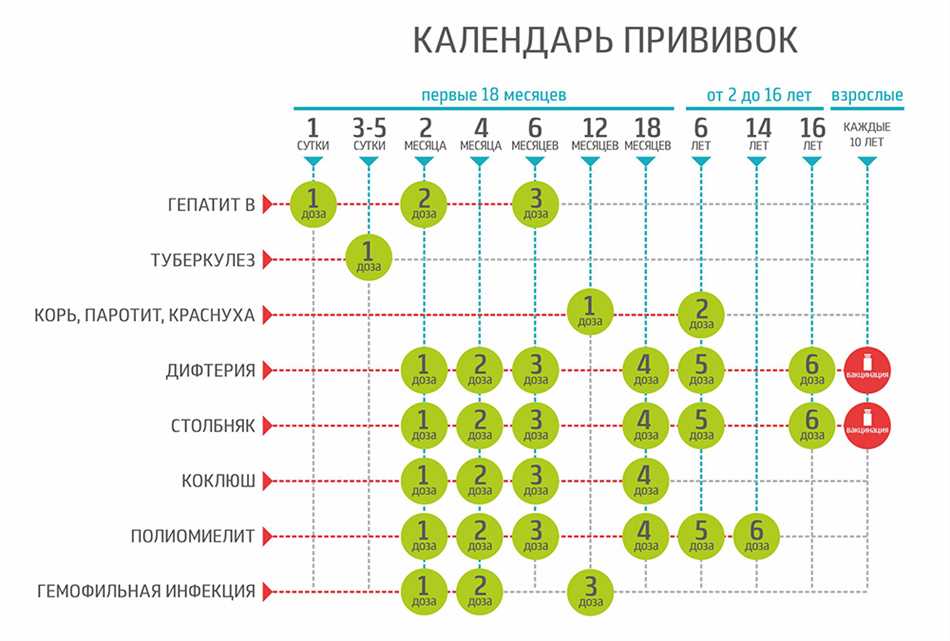 БЦЖ прививка