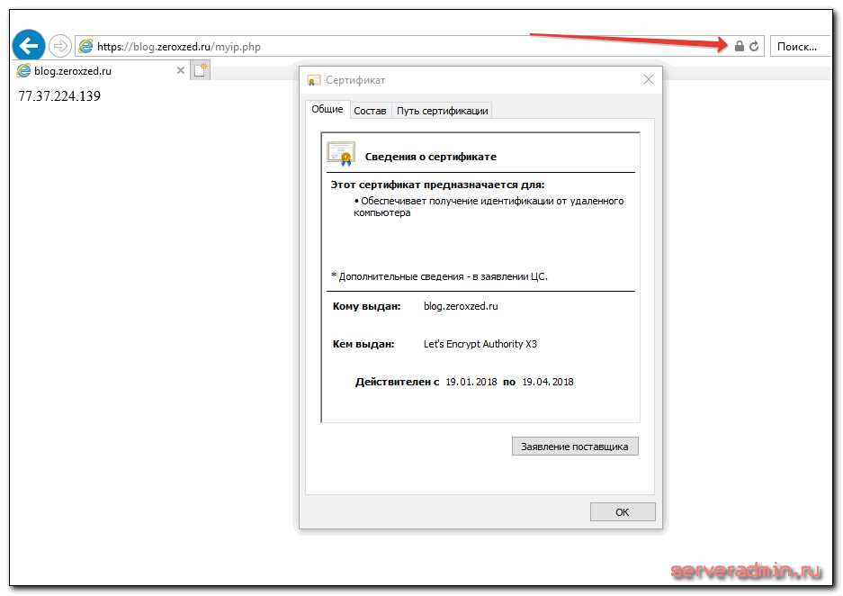 Proxy pass nginx: что это и как работает