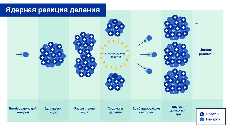 Уровень активности и длительность периода полураспада