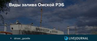 Российская Электрическая Библиотека (РЭБ) в Омске: изучаем особенности работы