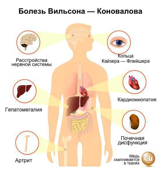 Раздел 1: Определение ригидной психики