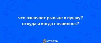 Рыльце в пушку: разбираемся, что это значит