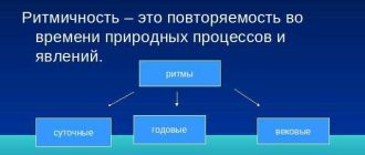 Ритмичность географии: понятие, значения и географические особенности