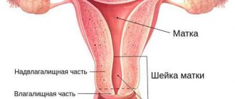 РКШМ в гинекологии: особенности и влияние на здоровье женщин