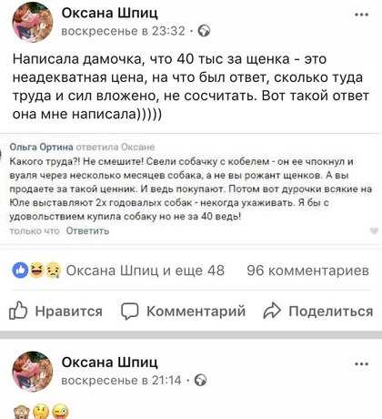 Как определить родословную скор