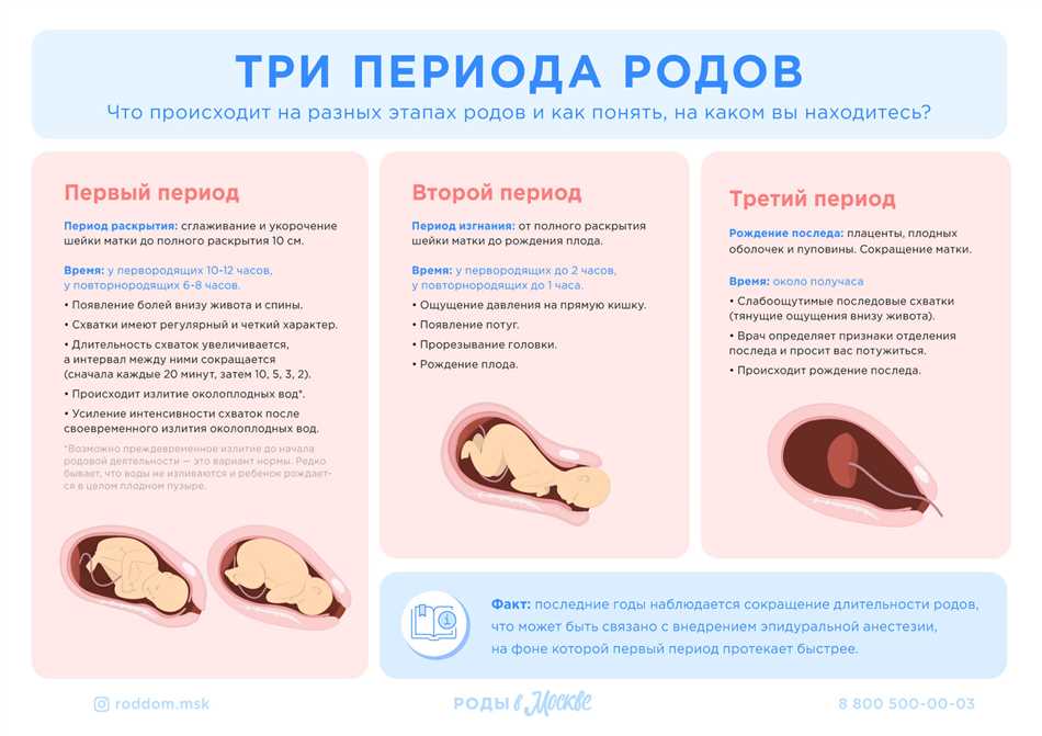 4. Психологическая поддержка