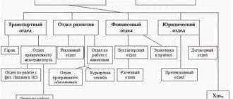 Руководитель подразделения: определение и роль в организации