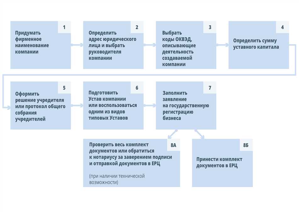 Руководство ФНС России: деятельность и функции