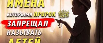 Сафар: к какой национальности относится это имя?