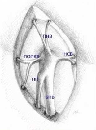 2. Стоматологические проблемы