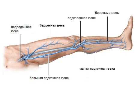 Сафено-феморальное соединение несостоятельно: что это значит и как это лечить?