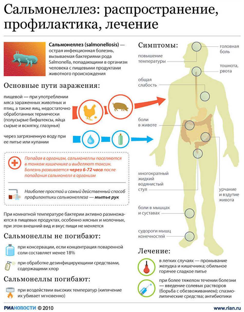 Причины развития сальмонеллеза у кур