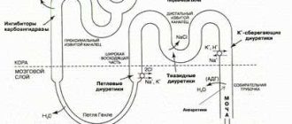 Салуретики: механизм действия и влияние на организм