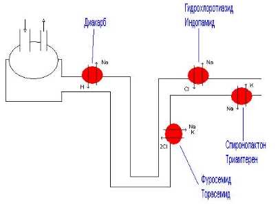 Классификация салуретиков