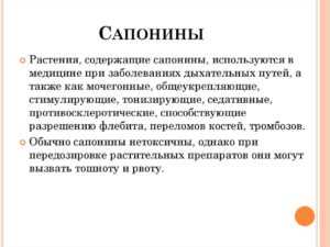 Сапонины: что это такое и зачем они нужны растениям