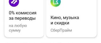 Сбербанк Прайм Плюс: инструкция и принцип работы