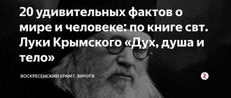 Седалище: ключевая анатомическая область и ее роли