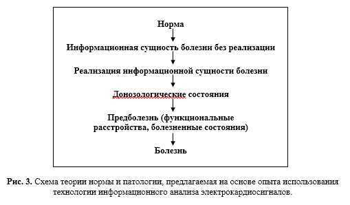 Седалище: основные факты и функции