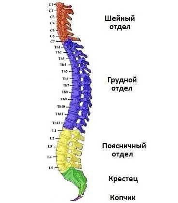 Информация о местах