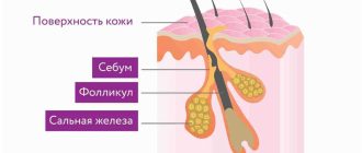 Секретирование: основные принципы и польза