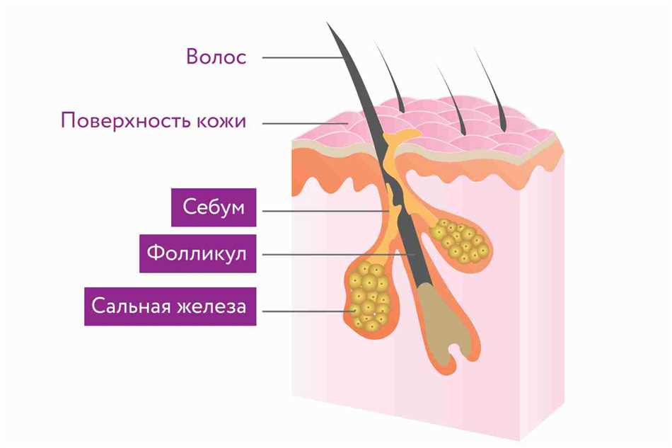 Секретирование: что это значит и зачем нужно